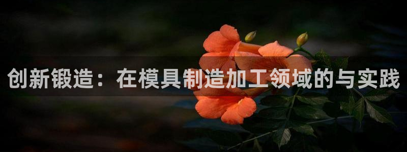 彩名堂合作655560