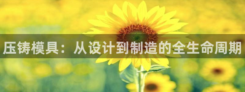 彩名堂免费计划官网50下载957