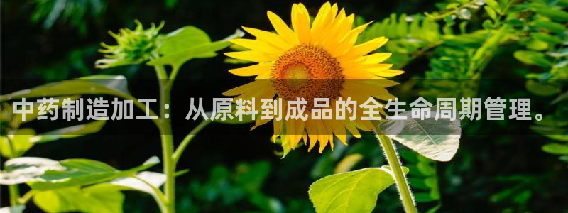彩名堂5.0计划