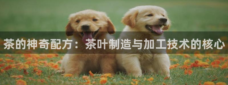 彩名堂改名稻草人了吗是真的吗