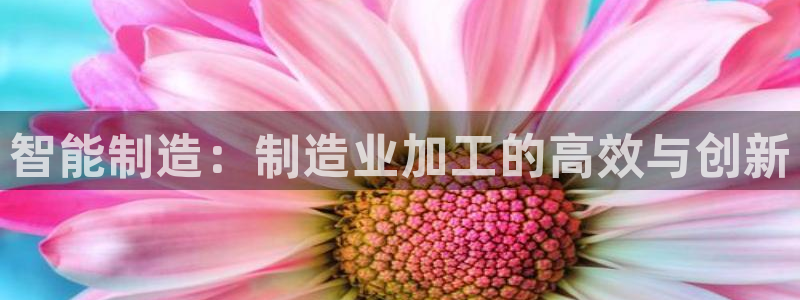 彩名堂计划技巧