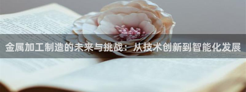 彩名堂预测软件与分析