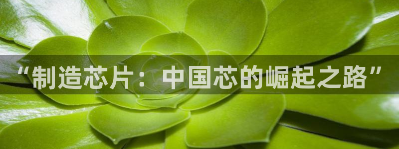 彩名堂为什么突然不能用了