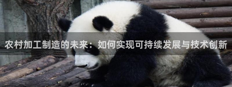 彩名堂预测网站