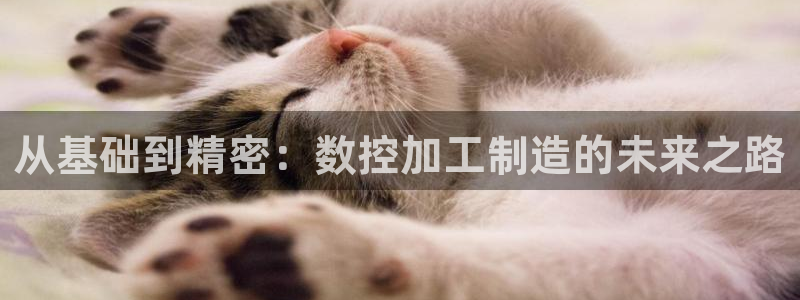 彩名堂预测免费计划