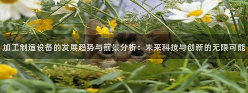 彩名堂官网谁有