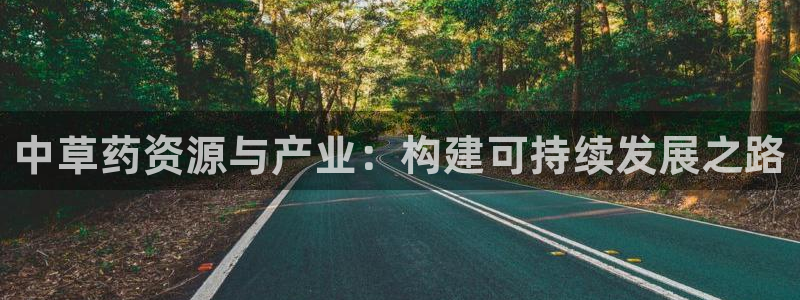 彩名堂官网计划客户端