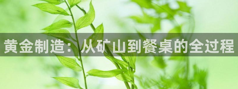 最新彩名堂计划