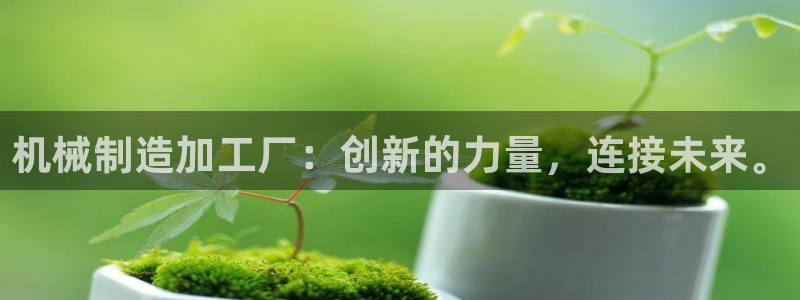 彩名堂到底怎么看,一跟就挂