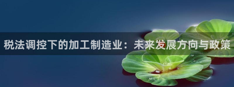 彩名堂5.0计划