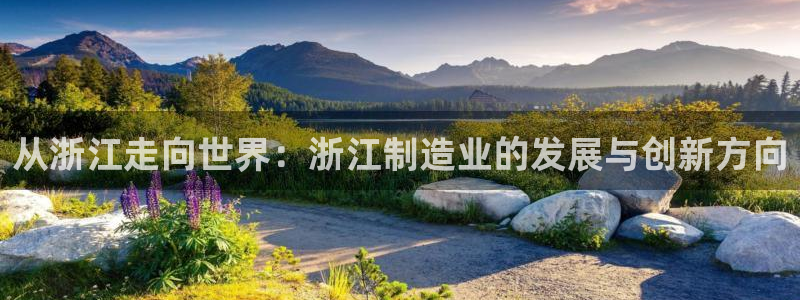 彩名堂是正规的公司吗