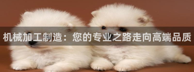 彩名堂预测免费计划怎么看的