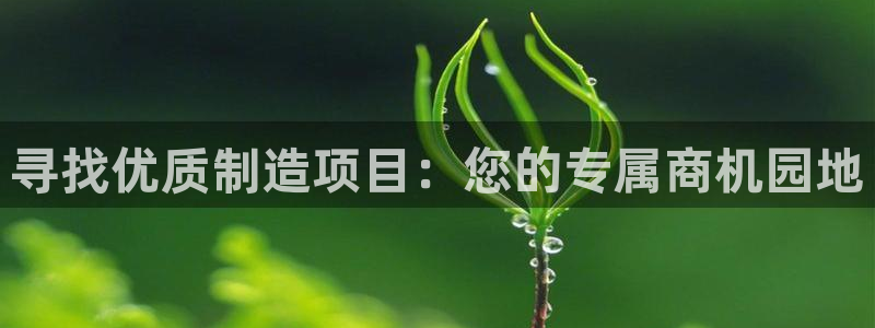 彩名堂怎么不能用了