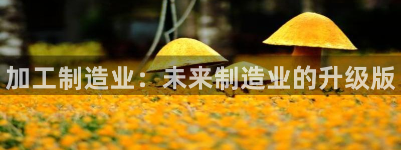 彩名堂计划技巧有哪些