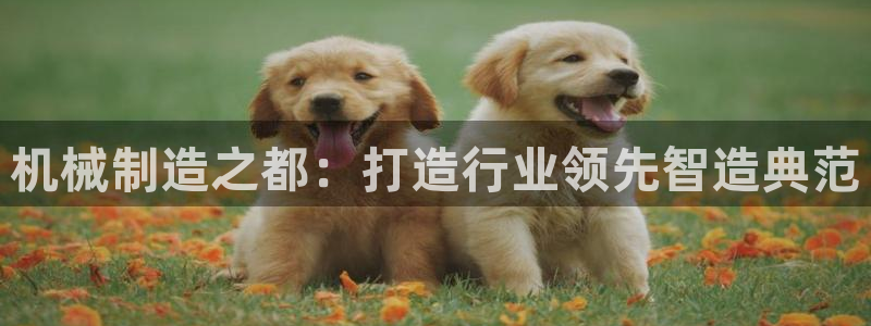 下载彩名堂预测计划软件