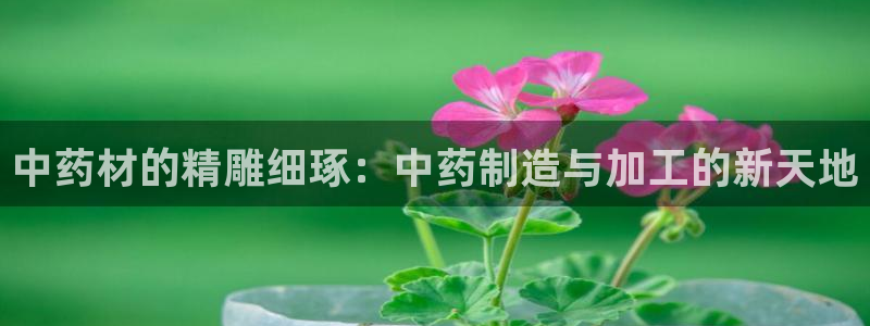 彩名堂一直不出结果怎么回事呀