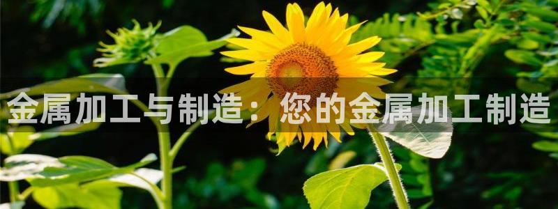 彩名堂怎么不能用了