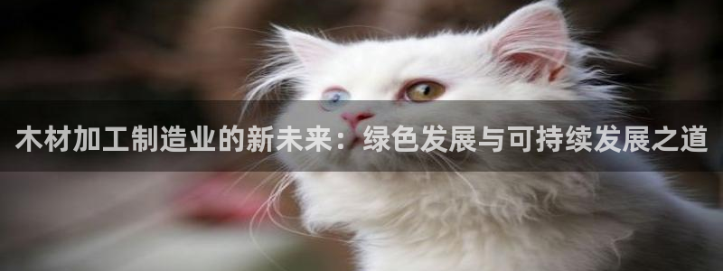 彩名堂到底怎么看,一跟就挂