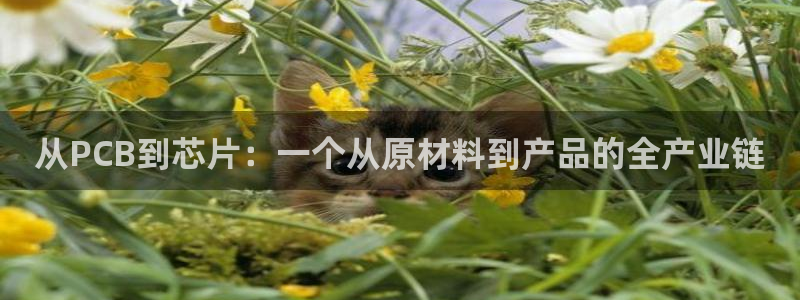 彩名堂怎么打最稳