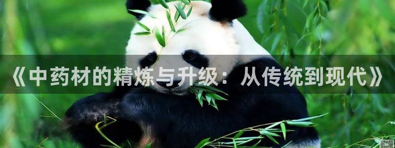 彩名堂免费计划亮点