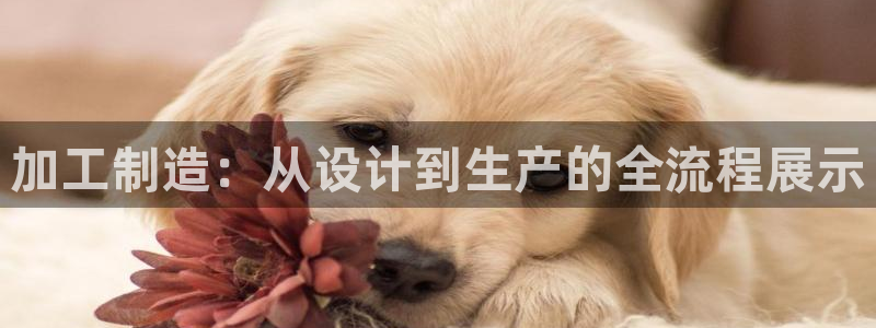 彩名堂计划app新版