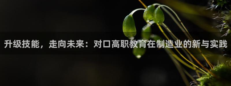 彩名堂好用还是千里马好用