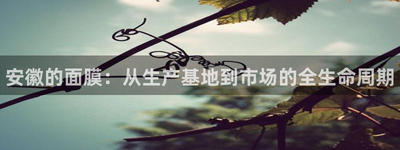 彩名堂预测免费计划app-彩名堂预测免费