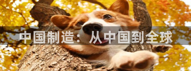 彩名堂好用还是千里马好用一点