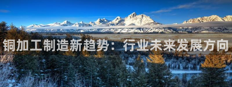 彩名堂怎么用不了了