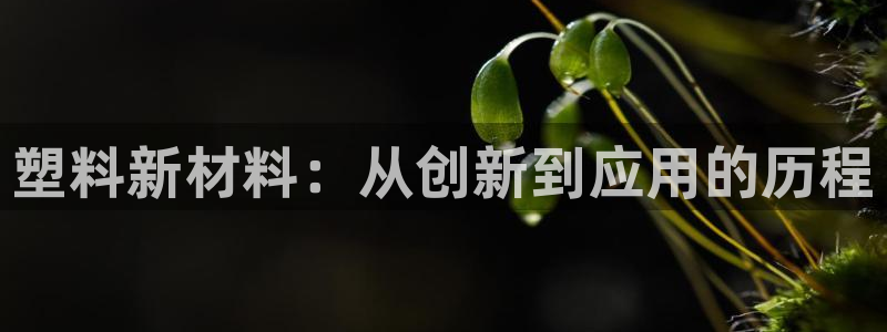 彩名堂官网计划客户端