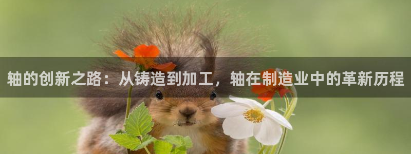 彩名堂官方平台