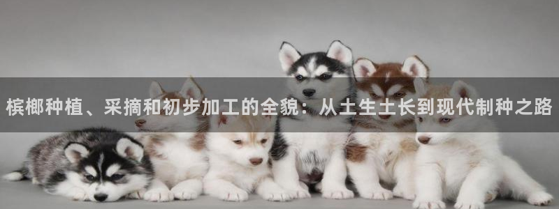 彩名堂计划官方下载网址