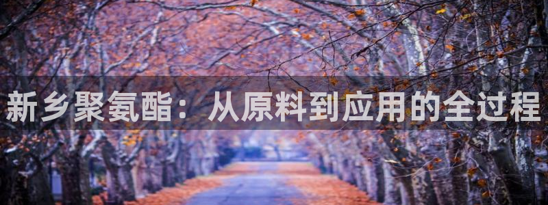 彩名堂移动客户端官网