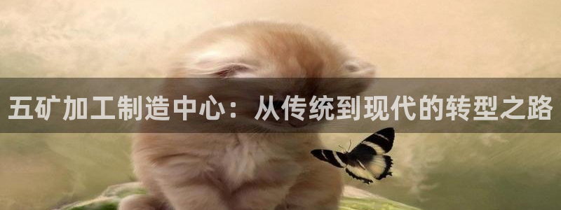 彩名堂官网在线计划