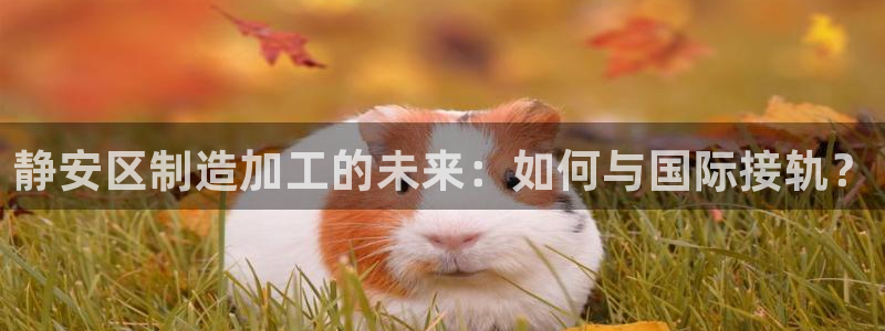 彩名堂手机客户端怎么下载