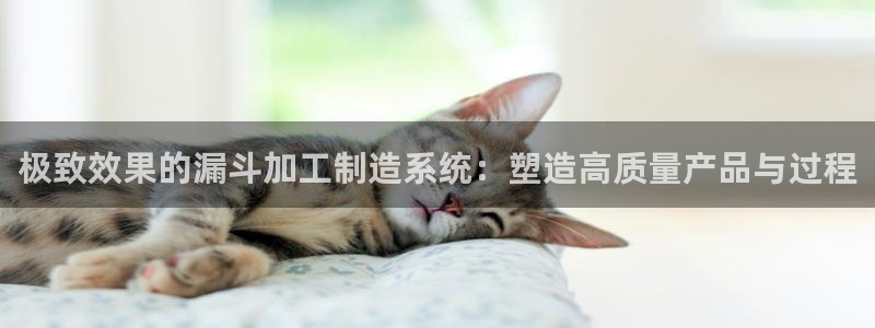 正规彩名堂官网计划01