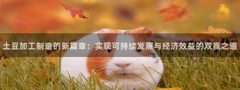 彩名堂官网计划客户端