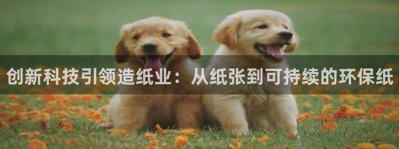 彩名堂怎么跟计划才不连挂在一起