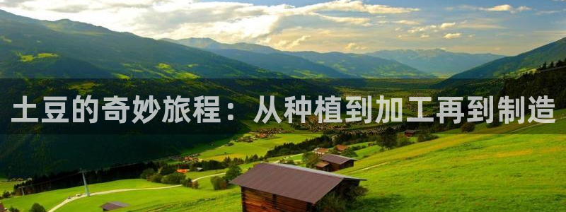 为什么彩名堂今天不能用