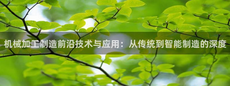 彩名堂怎么选稳定计划