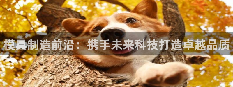 彩名堂免费计划官网怎么进不去了呢