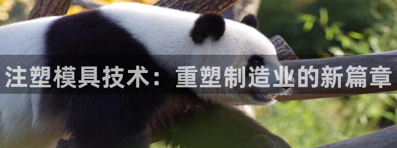 彩名堂官方软件下载