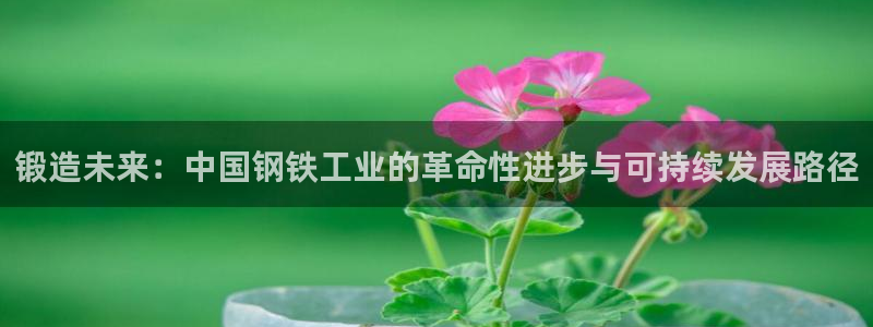 彩名堂官网