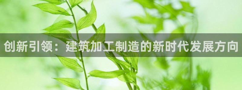 彩名堂01计划