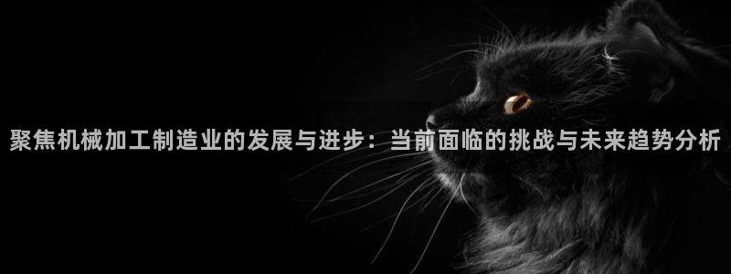 彩名堂最新计划下载地址