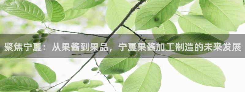 彩名堂手机客户端官网