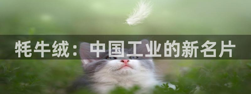 彩名堂计划官网客户端