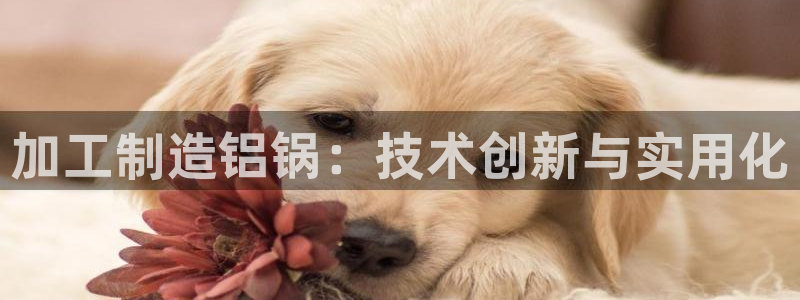 下载苹果手机版彩名堂