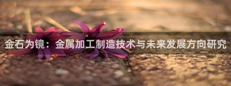 彩名堂计划怎么跟不挂