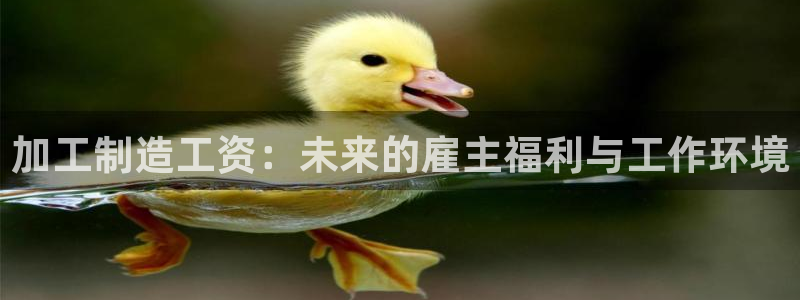 彩名堂下载官网